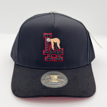 Special Edition Money Never Sleeps Semi-Curved Cap