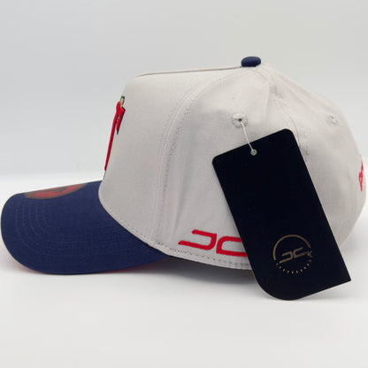 Gray/Blue CT Cap