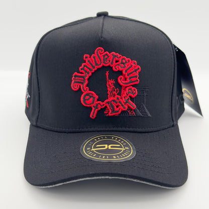 Black University of Life Semi-Curved Cap