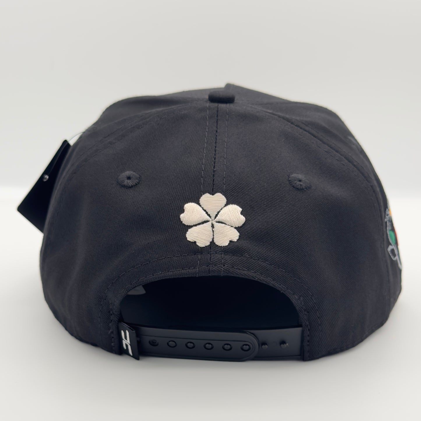 Rainbow “Good Luck” Flat Cap