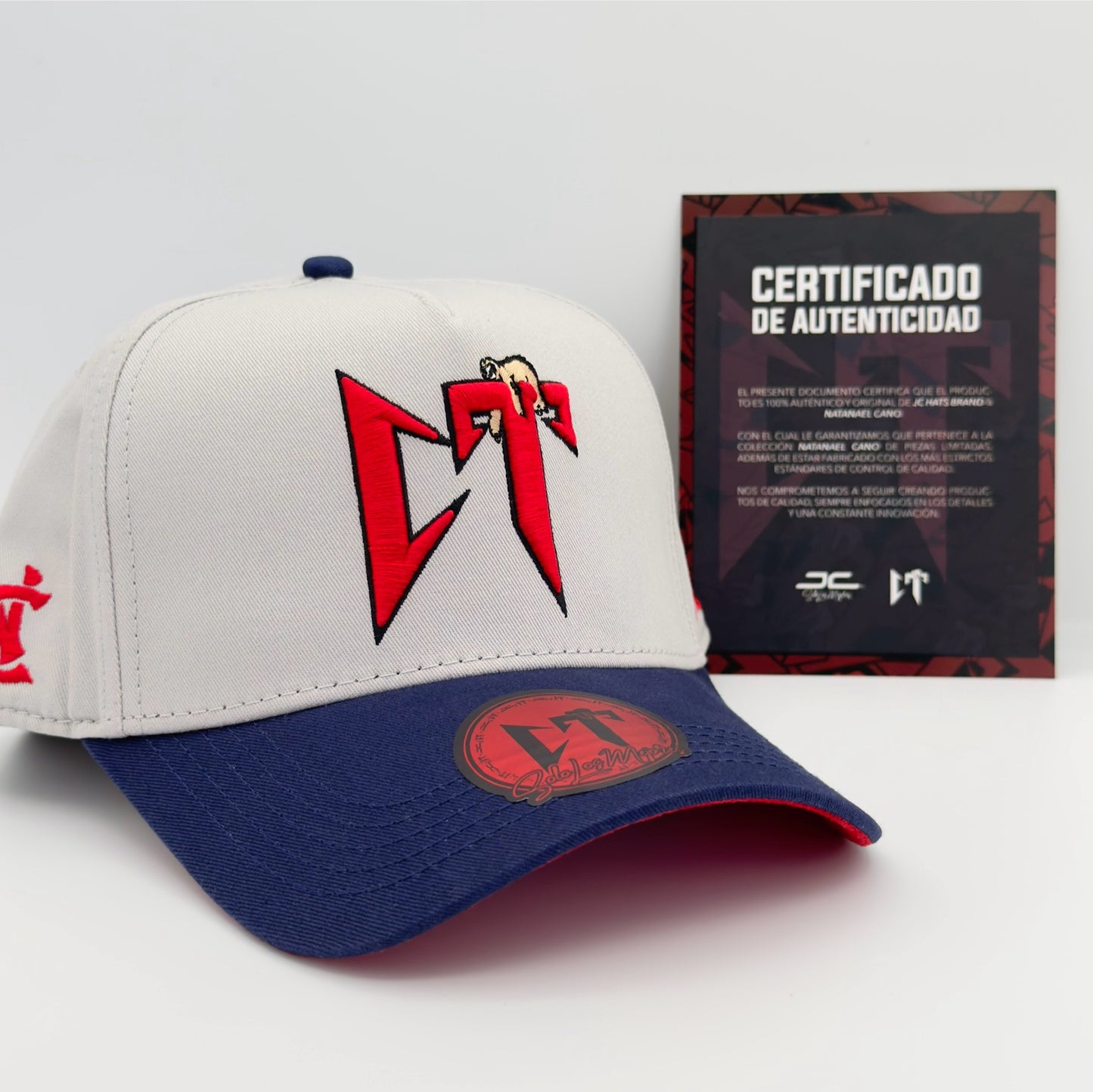 Gray/Blue CT Cap